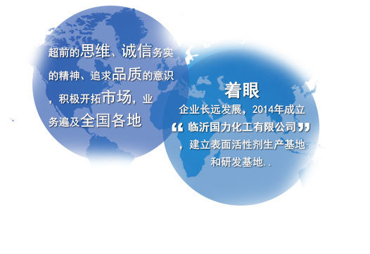 海安縣國力化工有限公司